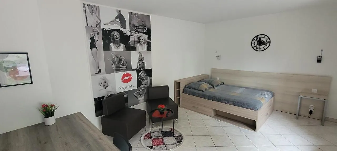 Charmant Studio De 30 M2 Tres Calme Avec Sa Grande Belle Terrasse Et Son Jardin Privatif Tremblay-en-France France